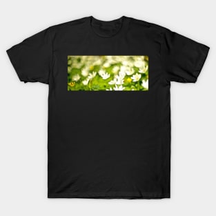 CELANDINE T-Shirt